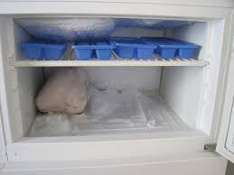 Frigidaire Mini Fridge with Freezer 3.2 cu ft - Review