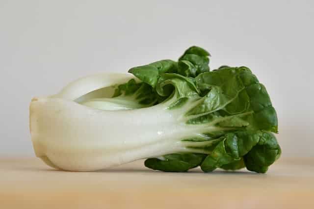 freeze bok choy