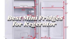 Best Mini Fridge for Kegerator