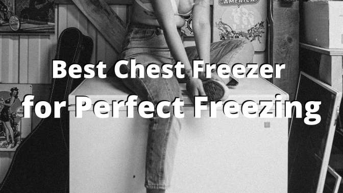 Best Chest Freezer for Perfect Freezing