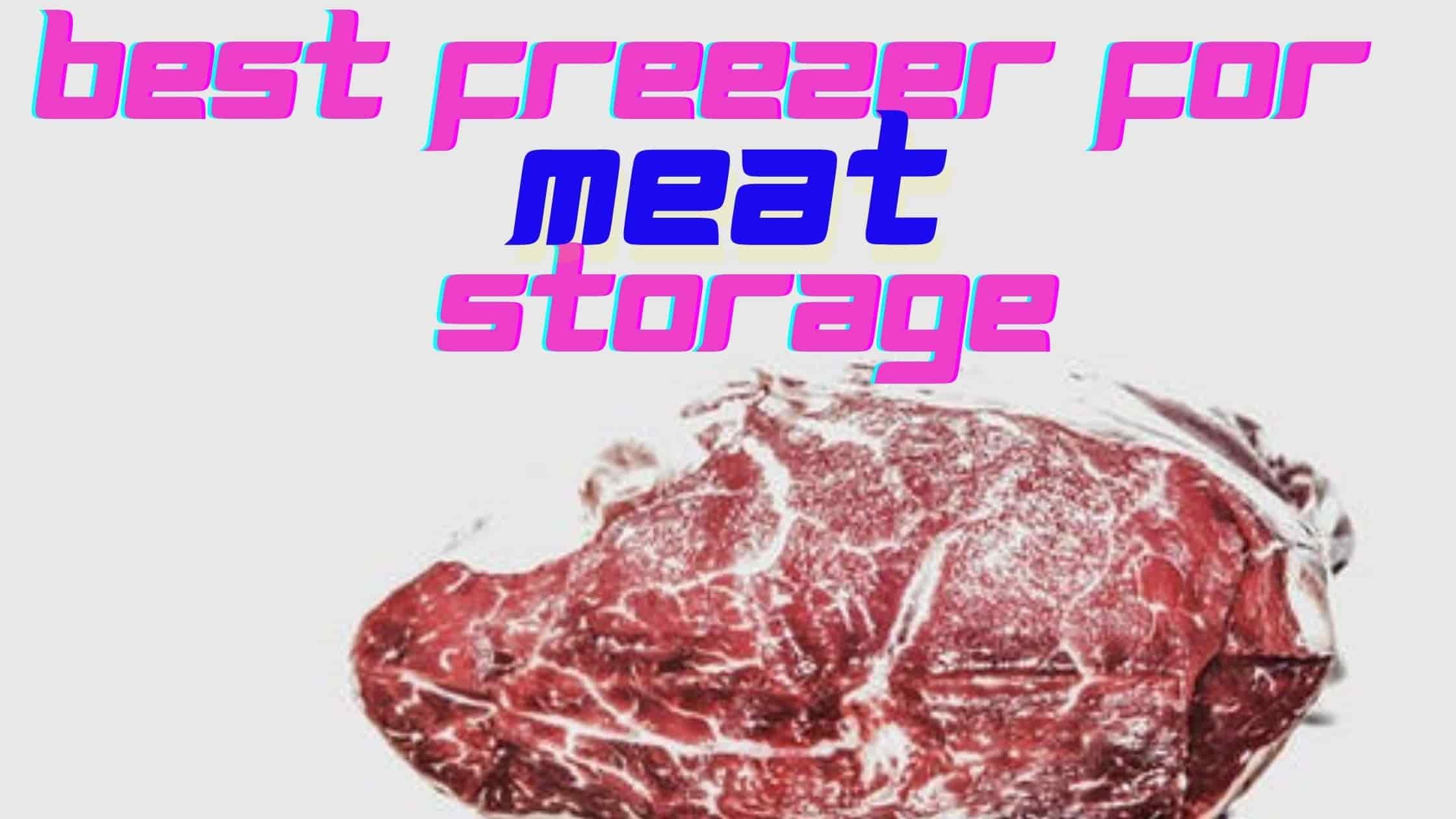 best Freezer for meat Storage