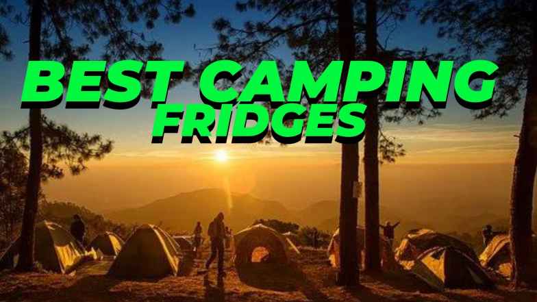 Best Camping Fridge