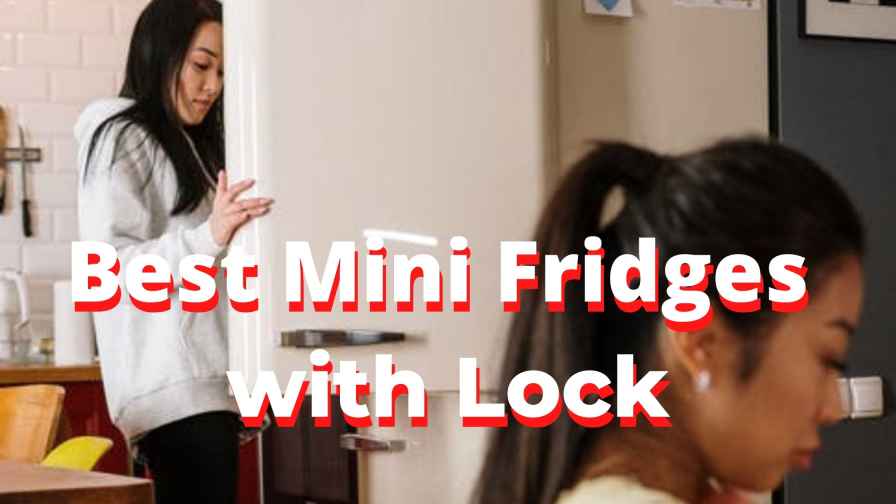 best mini fridge with lock