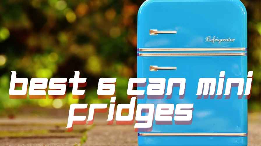 best 6 can mini fridges