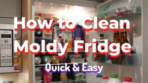 How to Clean Moldy Fridge