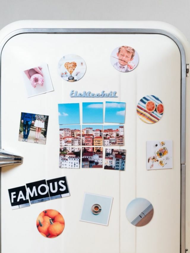 The Ideal Refrigerator Temperature to Refrigerate Food