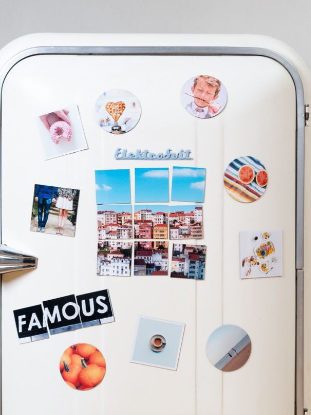 What's the ideal refrigerator temperature