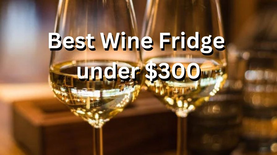 Best Wine Fridge under $300